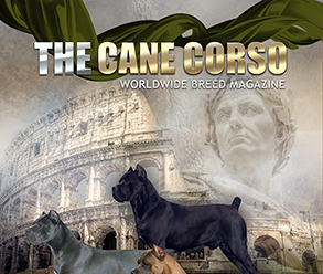 Cane corso magazine no10