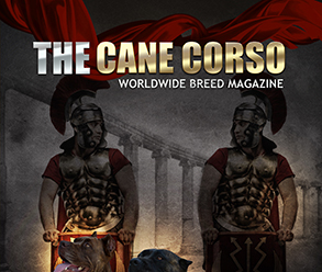 Cane corso magazine no11