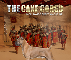 Cane corso magazine no7