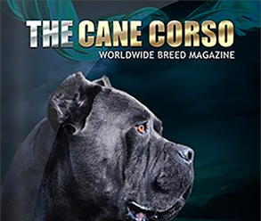 Cane corso magazine no1